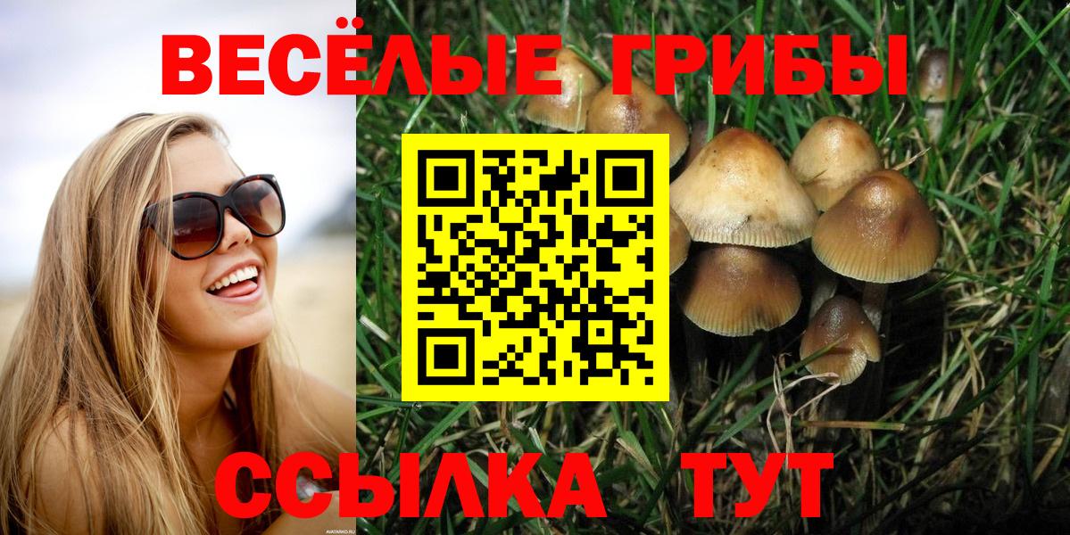 Псилоцибиновые грибы мицелий  Вход с VPN  Феодосия 